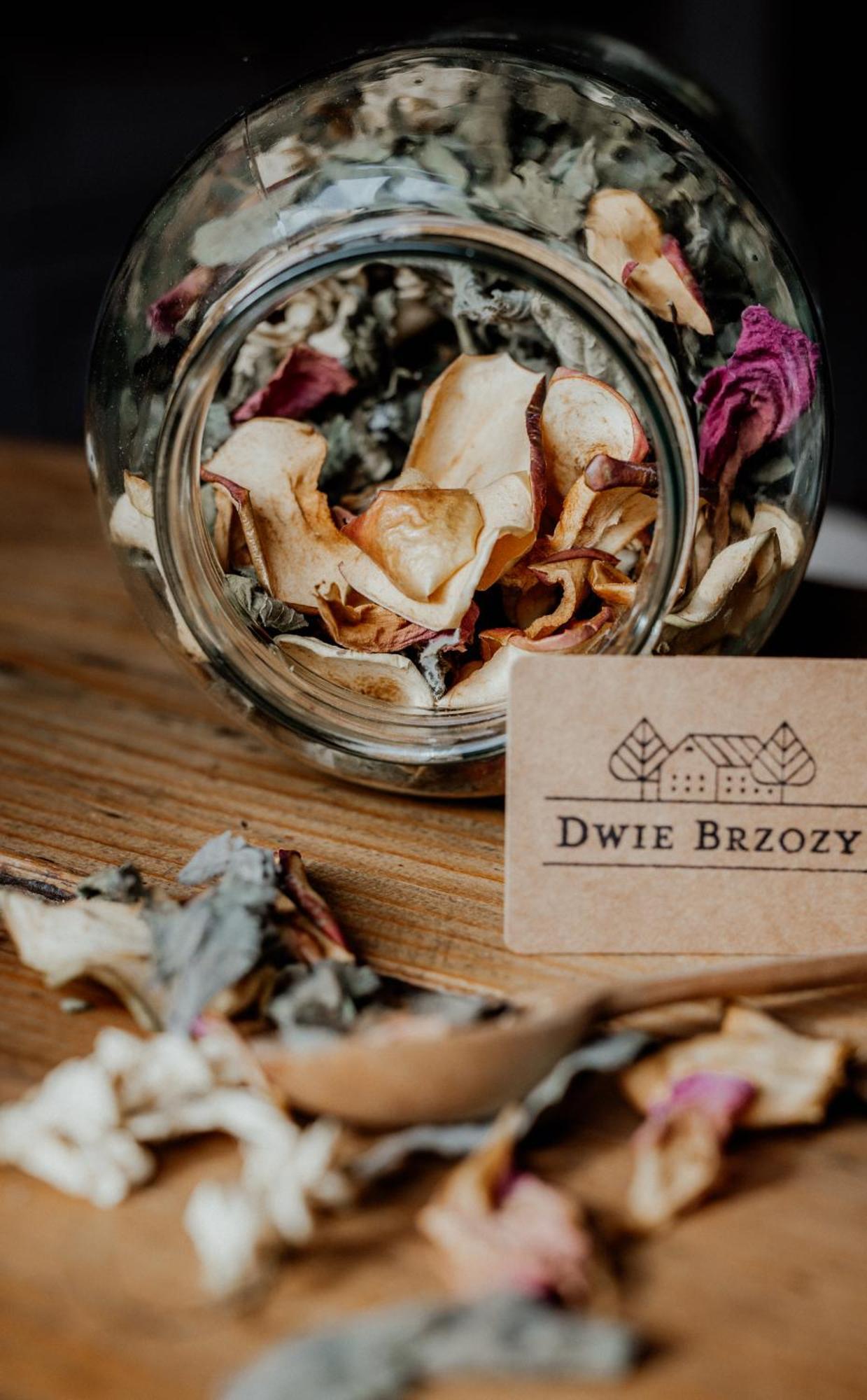 Dwie Brzozy Wegetarianskie Siedlisko Wlen 외부 사진